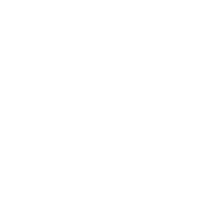 AccelVista